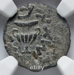 Pièce rare de prutah de la guerre de rébellion judéo-romaine de l'an 2 NGC XF Judée 66-70 après J.-C. Israël
