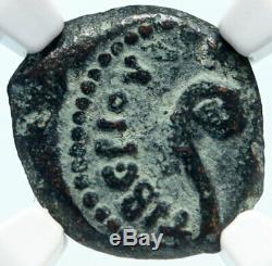 Ponce Pilate Tibère Jérusalem Jésus-christ Crucifixion Romaine Monnaie Ngc I83916