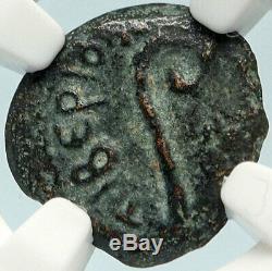 Ponce Pilate Tibère Jérusalem Jésus-christ Crucifixion Romaine Monnaie Ngc I84428
