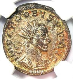 Roman Empire Probus Bi Aurelianianus Coin (276-282 Après J.-c.) Certifié Ngc Ms (unc)