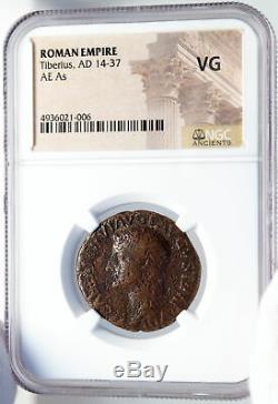 Tiberius Authentique Ancien 22ad Jésus-christ Biblique Temps Romaine Monnaie Ngc I82595