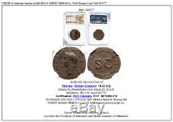 Tiberius Authentique Ancien 22ad Jésus-christ Biblique Temps Romaine Monnaie Ngc I83577