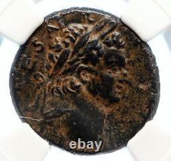 Titus En Tant Que César Vespasien 76ad Rome Antique Old Ancient Roman Coin Ngc I95590