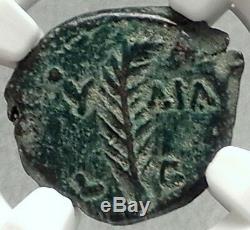 Valerius Grat Romain Jérusalem Préfet Tiberius Livia Biblique Ngc Coin I68138